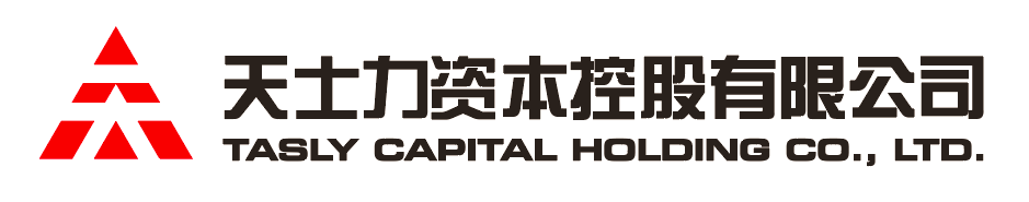 凯发一触即发资本控股有限公司